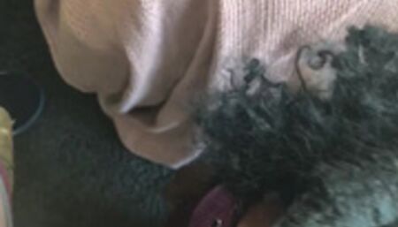 18 Petite Black Girl Blowjob POV