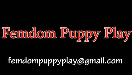 Carmen Valentina's Cheating Husband Becomes Her Pup mobile