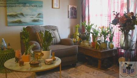 NORMA STITZ GIFTED VCERT TIGHT DRESS MP4 FORMAT