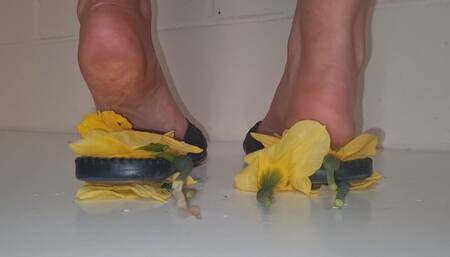 Kats Inshoe Daffodil Crush