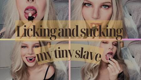 Licking and sucking my tiny submissive slave