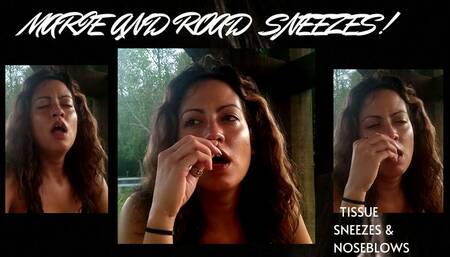 FOXY ROXIE ON THE ROAD AND STOPS TO MAKE HERSELF SNEEZE! WMV Footage