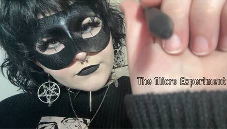 The Micro Experiment