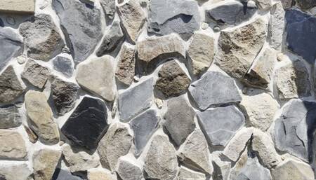 humiliation with a dirty pig in the mud