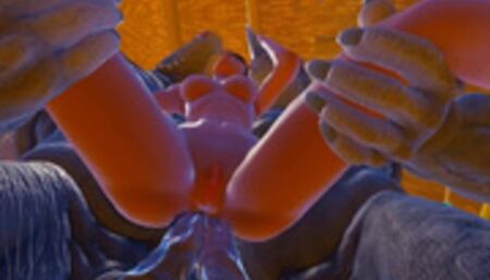 Two Furry Alien Fuck My Wife Double Anal