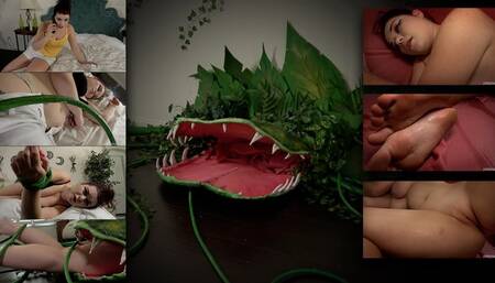 Sitting Sophia: Anastasia Rose