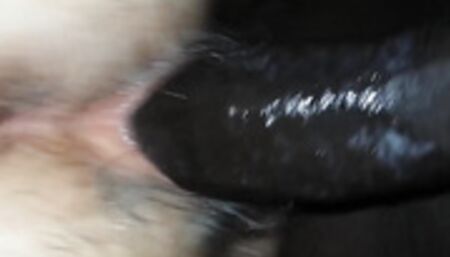 My slutty wife and me bisexual cuckold fucked by black cock