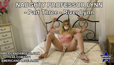 Naughty Professor Lynn - Part Three - River Lynn - MP4