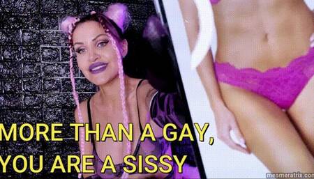 MORE THAN A GAY, YOU'RE A SISSY