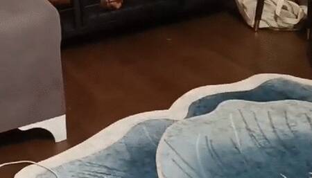 Vahs? hayvan?m? cezaland?rd?m