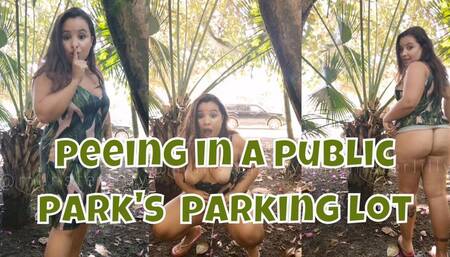 Peeing In Public Park's Parking Lot