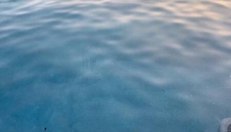 Bella Luxx and Greasy Rose Hold Each Other Underwater