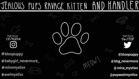 Jealous Pups Ravage Kitten and Handler