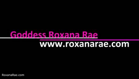 Another Weekend Alone