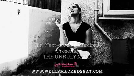 The Unruly Maid 3 (wmv)