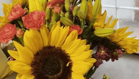 Naughty flowers making me sneeze