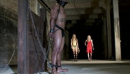 Latina shemale doms gang bang man