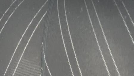 Ass Worship in Leggings