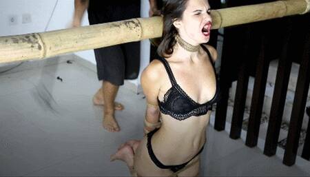 Kneeled besides my Master: Sangini's feet training (HD)