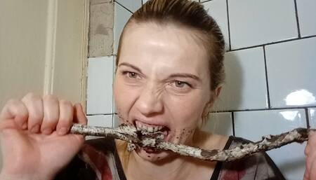 A feral cat chews on a stick!!