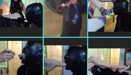 Be my foot addict pig