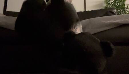 POV Slipper, Foot Worship