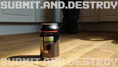 #2 Submitting and destroying cans