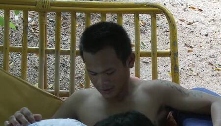 It's Asian Exotic, Tan and Nut