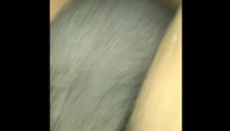 Thanksgiving Stuffing