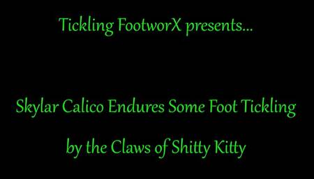 Skylar Calico Endures Some Foot tickling At The Claws Of Kitty