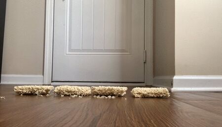 Ramen Walkover with Sandals