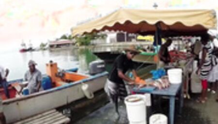 Jana Cova - ClubJanaCova - Guadeloupe Vacation Video