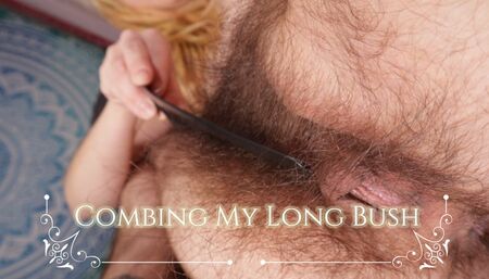 Combing My Long Bush