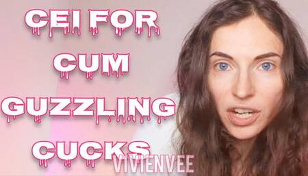 CEI for Cum Guzzling Cucks