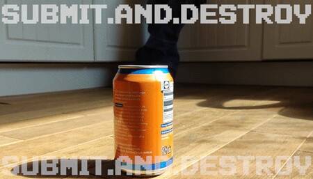 #3 Submitting and destroying cans