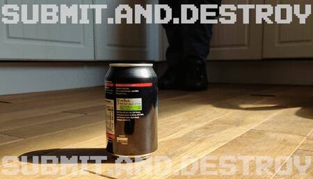 #2 Submitting and destroying cans