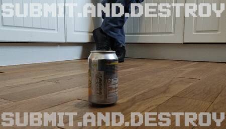 #1 Submitting and destroying cans