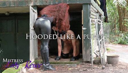 Mistress Lady Renee - you will be My puppy - mp4