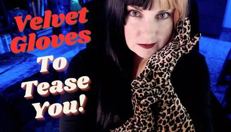 Velvet Gloves To Tease You