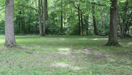 StonedSummer Can't Jump Rope