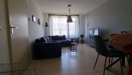 Crutches in the living room