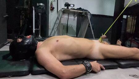 Electro play cbt trampling face sitting sucking dildo nipple play