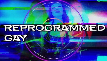 Reprogrammed Gay WMV
