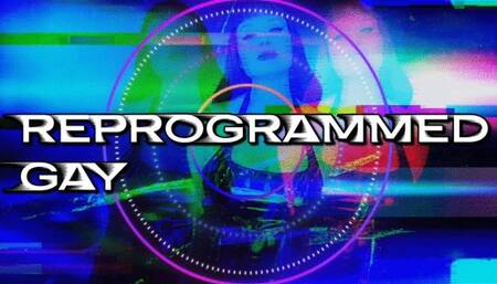 Reprogrammed Gay SD