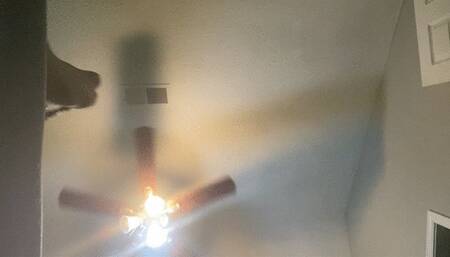 Teeny watches Giantess Shaking his tiny friend with feet and toes in Nylons POV 4K smaller