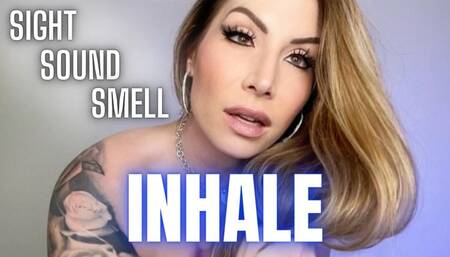 Sight Sound Smell INHALE - Jessica Dynamic