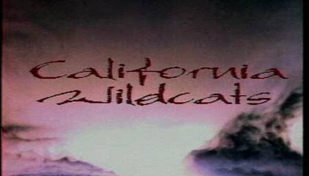 CW 121 Fantasy In Oil, Volume 1