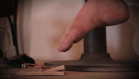 A Mousetrap & An Unsuspecting Young Girl