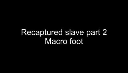 Macrophilia - shrunken slave locked inside cum filled sock