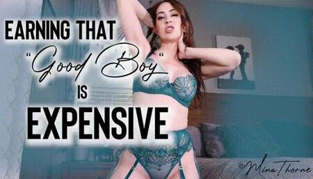Good Boy is Expensive